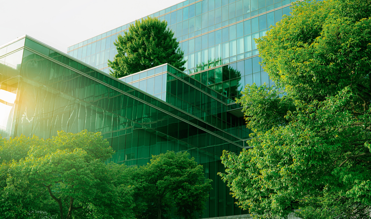 Sustainability News